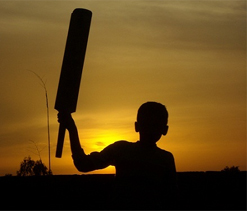 Taj Television extends pact with Zimbabwe Cricket till 2019