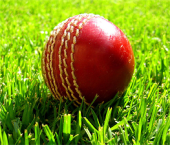 Haryana bounce back against Gujarat on 2nd day