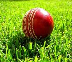 Mumbai oust TN to enter semis