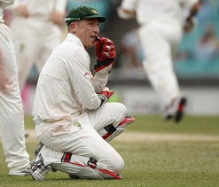 Out of sorts Haddin told to play in Big Bash