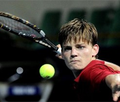 Wild card entrant Goffin stuns Xavier Malisse
