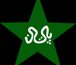 Ex-cricketer Basit Ali says Pak ready to host international cricket