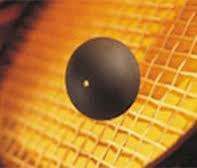 Canadian Letourneau, Anaka top seeds in Western India squash