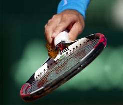 India-Korea Davis Cup tie to be held in Delhi
