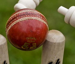 Reddy, Vihari hit big tons for Hyderabad