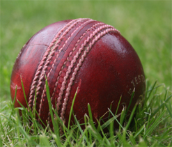 Boy killed for poking fun during cricket match