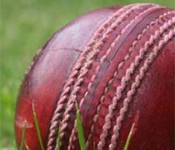 Young replaces Holland in Adelaide strikers squad