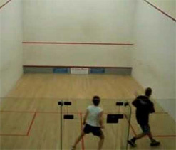 `Old war horses` rule the roost in Squash: 2012