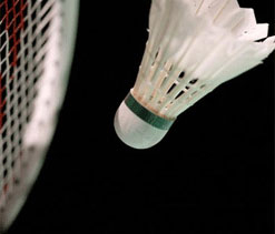 Joshi stuns Hidayat; Saina concedes tie due to injury, fatigue