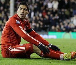 My dream is Champions League football for Liverpool: Suarez
