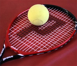 ATP Chennai tennis: Focus on top four