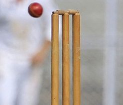 Punjab crush Rajasthan by 9 wickets for fourth outright win