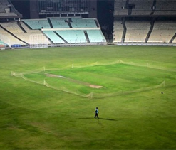 Floodlights used in Test at Eden for first time