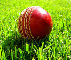 PCB contacts Bangladesh board following arrest of Pak national