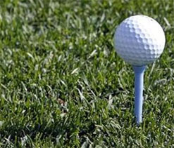 Manav leads; Millie, Anisha ahead in ladies event at Dhaka