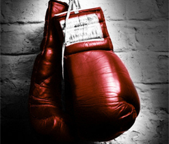 OGQ to support youth world champion boxer Sarjubala Devi