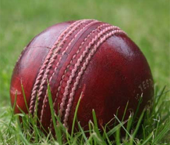 Aussie women complete 3-0 sweep of ODI series
