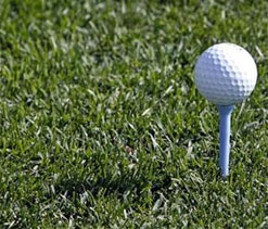 Smriti, Nalini to battle it out in 14th leg Women`s Pro Tour