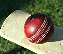 16 teams to battle for T20 JPL Cup from tomorrow in Jammu