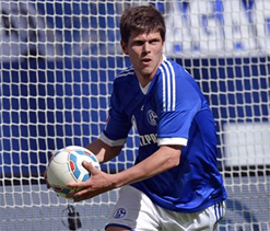 Schalke clinch Champions League place