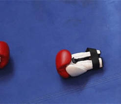 Cuba`s ex-world champion boxer dead