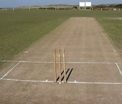 Two-day seminar for BCCI curators from Monday