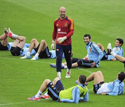 Spaniard custodian Reina believes Torres will ‘take Euro 2012 by storm’  