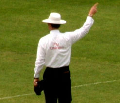 Shamsuddin replaces Tarapore in international umpires panel