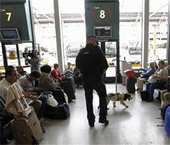 Terror suspects ‘waived through’ UK airport by inexperienced staff ahead of Olympics 