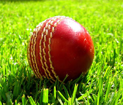 Karnataka, Kerala reach final of Buchi Babu tourney
