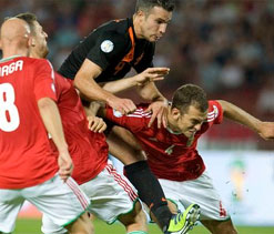Injury scare for Robin van Perise