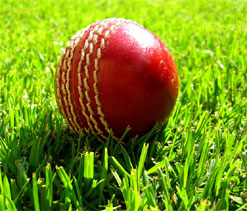 Lanka, Windies scrap Tests for tri-series with India: Report