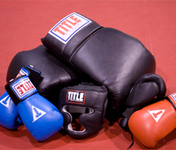 IBF elections could be postponed after Ministry diktat
