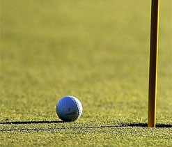 Rudresh enjoys the early advantage with a 66