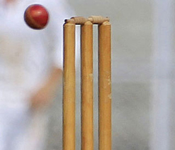 BCCI approves conduct of T20 inter-university cricket