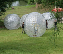 Adventure sport `Zorbing` claims one life in Russia