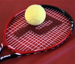 Looking out for second singles player: Anand Amritraj