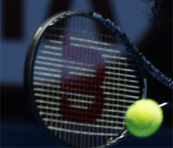 Ramanathan, Ankita national grasscourt champs