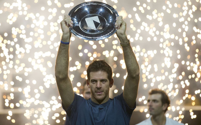 Juan Martin Del Potro grabs title in Rotterdam