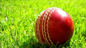 Fawad Ahmed,  Australia's upcoming spin king?