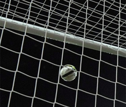 Hannover`s Franca diagnosed with tuberculosis