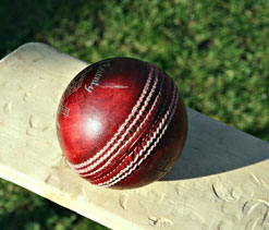 Assam stun MP to enter Vijay Hazare Trophy quarterfinal