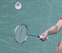 Anand Pawar reaches prequarterfinals of German Open