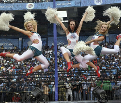 Prepare sporting pitches for IPL 6: BCCI to curators