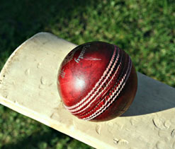 Clash of equals as England, Australia face off in World Cup