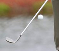 Neha wins BT Pro Am of Champions