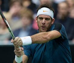 Indian Wells Tennis: Djokovic, Del Potro advance to semifinals