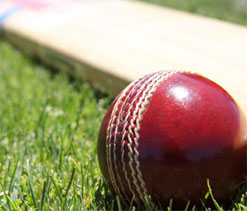 India vs Australia, Delhi Test: Kotla pitch under scanner