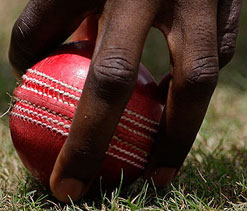 Fawad Ahmed in line for Ashes selection