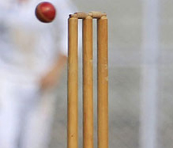 Goa`s Ranji captain Kamat suspended for beating a player
